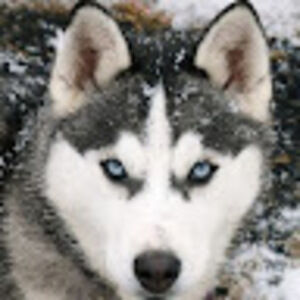 Meet your Posher, Ellen